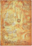 Блокнот Paperblanks Леонардо да Вінчі Flexis (середній, в лінію)