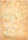 Скетчбук Paperblanks Нариси Леонардо Сонце та Місячне Сяйво (А4, нелінований)