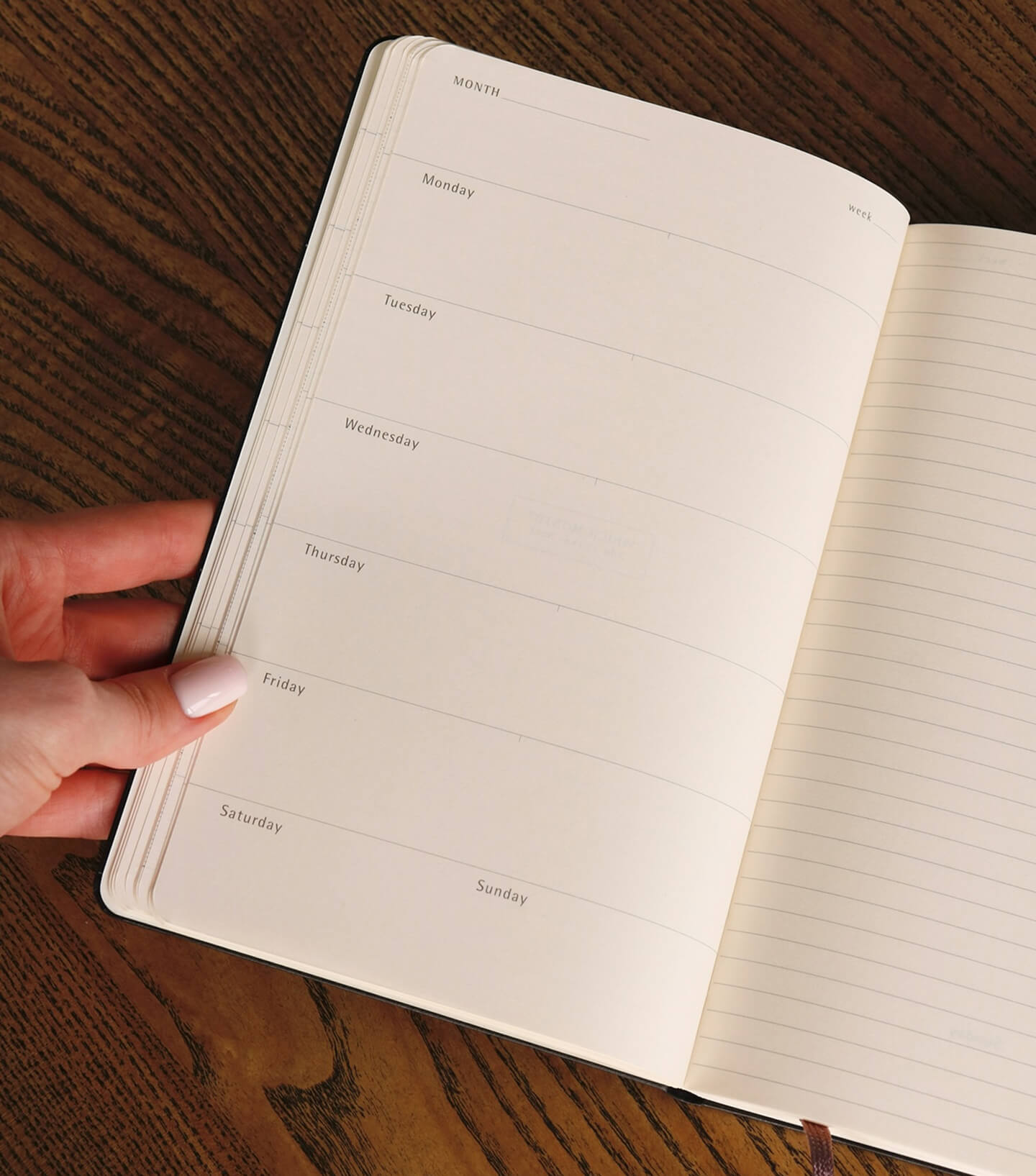 Moleskine Pro Undated Planner – класичний щотижневик з місцем для дат і нотаток