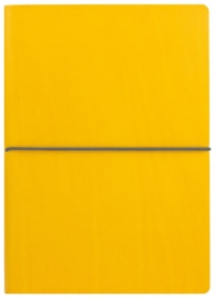 Купить Планер Ciak Classic (большой, желтый) в интернет магазине в Киеве: цены, доставка - интернет магазин Д.Магазин