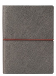 Блокнот Ciak Plus Metal в лінію (середній, платина, з червоним зрізом)