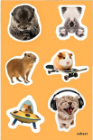 Стікерпак Cobart «Animals» (A6, об'ємний)
