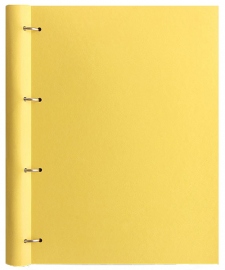 Купить Органайзер Filofax Clipbook Pastels A4 (лимонный) в интернет магазине в Киеве: цены, доставка - интернет магазин Д.Магазин