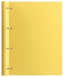 Органайзер Filofax Clipbook Pastels A4 (лимонный)