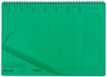 Настільний планер inTempo недатований (35 х 25 см, зелений)