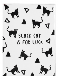 Купить Планер Kraft Mini "Black cat" в интернет магазине в Киеве: цены, доставка - интернет магазин Д.Магазин