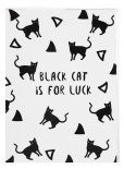Планер Kraft Mini "Black cat"