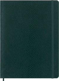 Купить Блокнот Moleskine Precious & Ethical в линию (большой, зеленый, бокс) в интернет магазине в Киеве: цены, доставка - интернет магазин Д.Магазин