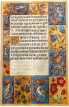 Щотижневик Paperblanks 2026 Старовинний Розпис Спінола (горизонтальний, середній A5)