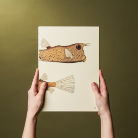 Купить Сменный блок Paper Republic x The Dybdahl Co. Reef (A4, в точку, 120 г/м2) в интернет магазине в Киеве: цены, доставка - интернет магазин Д.Магазин