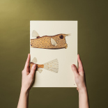 Змінний блок Paper Republic x The Dybdahl Co. Reef (A4, в крапку, 120 г/м2)