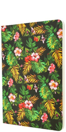 Купити Блокнот Paperblanks Астрономіка Flexis (великий, в лінію) в інтернет магазині в Києві: ціни, доставка - інтернет магазин Д.Магазин