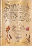 Блокнот Paperblanks Ботанічні Дива Фламандська Троянда (великий, нелінований)