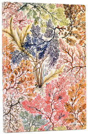 Купити Блокнот Paperblanks Астрономіка Flexis (великий, в лінію) в інтернет магазині в Києві: ціни, доставка - інтернет магазин Д.Магазин