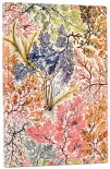Блокнот Paperblanks Анемона Flexis (кишеньковий, в лінію)