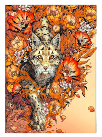 Купити Блокнот Paperblanks Астрономіка Flexis (великий, в лінію) в інтернет магазині в Києві: ціни, доставка - інтернет магазин Д.Магазин